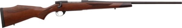 WBY VGD S2 SPRT BA 300WBY 24TB