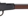 HENRY SMALL GAME 22WMR - 20.5" OCTAGON LARGE LOOP PEEP