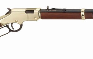 HENRY GOLDENBOY 22WMR - 20.5" OCTAGON WALNUT