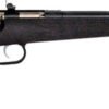 CRICKETT RIFLE G2 22WMR - BLUED/BLACK SYNTHETIC