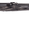 SAVAGE ARMS A22 22LR BL/LAM 22" T'HOLE STK